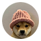 dogwifhat