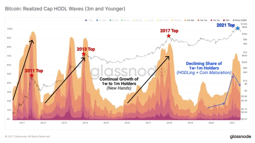 Continual Growth of 1w to 1 m Holders