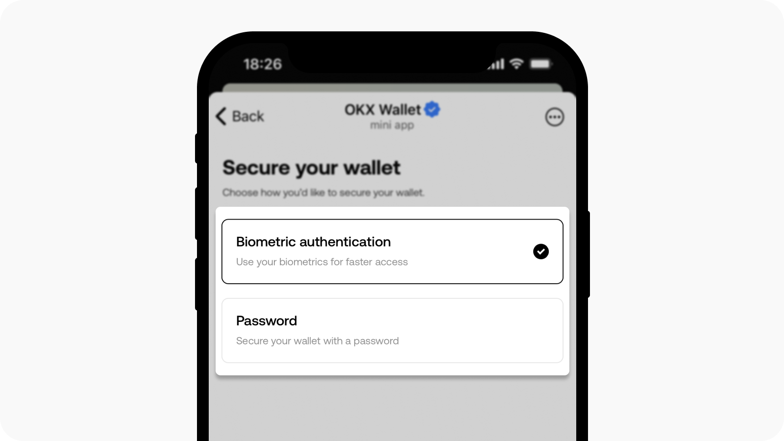 Select your preferred wallet security option on Telegram wallet