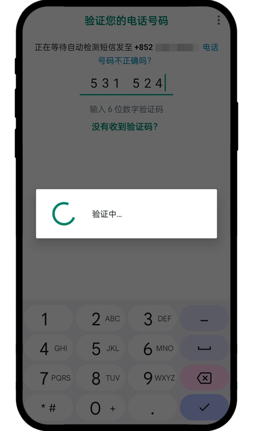 WhatsApp验证码 2